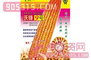 沃锋9号（玉米种子）-沃达丰农资招商产品