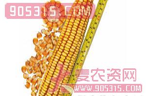 吉农大678（玉米种子）-硕丰种业