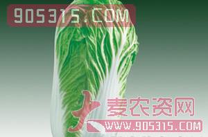 蔬菜种子-白菜-西由种业农资招商产品