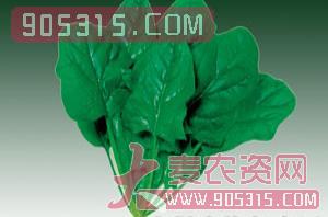 蔬菜种子-菠菜-西由种业农资招商产品