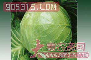蔬菜种子-甘兰-西由种业农资招商产品