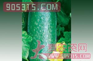 蔬菜种子-小冬瓜-西由种业农资招商产品