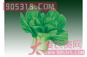 蔬菜种子-矮萁青-西由种业农资招商产品