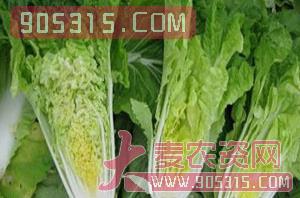 白菜种子-宏兴农农资招商产品