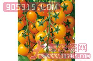 玛丽莲（番茄种子）-盈邦达农资招商产品