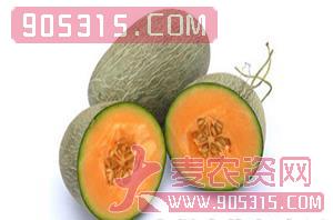 台湾香玉（甜瓜种子）-盈邦达农资招商产品