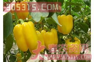 考曼奇太空椒（甜椒种子）-盈邦达农资招商产品