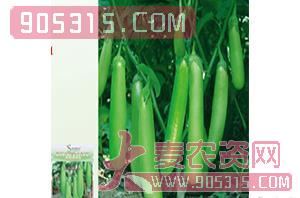 绿风98（茄子种子）-盈邦达农资招商产品