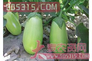 绿风68（茄子种子）-盈邦达农资招商产品