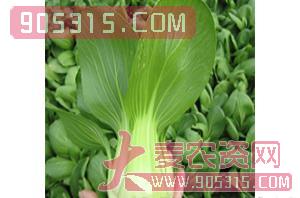 玉冠（青梗菜种子）-盈邦达农资招商产品