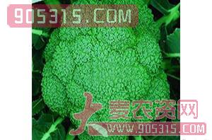 绿袖（花椰菜种子）-盈邦达农资招商产品