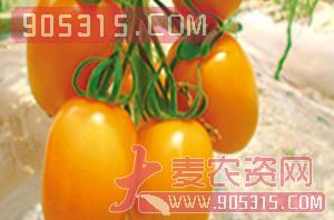 黄罗曼（番茄种子）-盈邦达农资招商产品