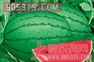 东方红玉F1（西瓜种子）-盈邦达农资招商产品