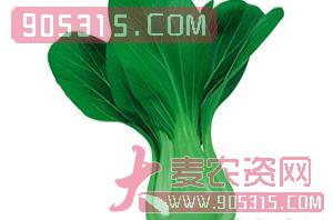 夏阳（青梗菜种子）-盈邦达农资招商产品