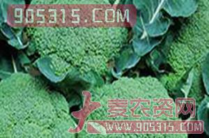 绿领（花椰菜种子）-盈邦达农资招商产品