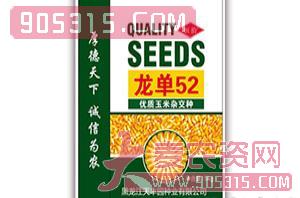 龙单52-玉米种子-天丰园种业农资招商产品
