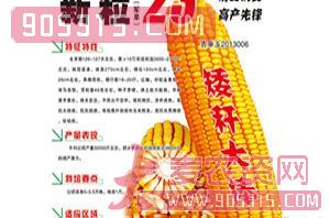 新粒23-玉米种子-鸿博种业农资招商产品