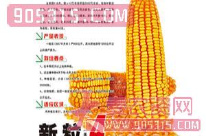 新粒4-玉米种子-鸿博种业农资招商产品