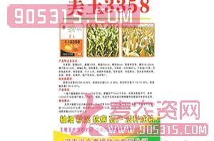 玉米种子美玉3358-今麦福种业农资招商产品