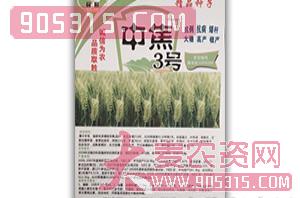 中焦3号-小麦种子-绩优谷农资招商产品