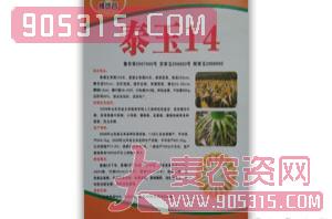 泰玉14-玉米种子-绩优谷农资招商产品