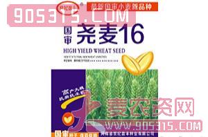 尧麦16-小麦种子-世纪盈丰农资招商产品