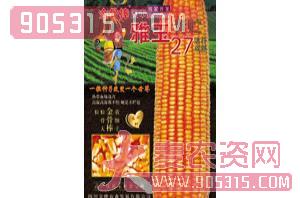金牌-雅玉27玉米种子农资招商产品