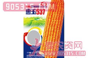 惠玉537-金牌农业农资招商产品