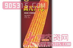 高亢718-玉米杂交种-金牌农业