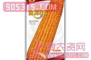 金辉8号-玉米杂交种-金牌农业农资招商产品
