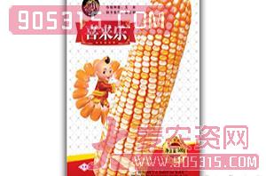 喜来乐-玉米杂交种-金牌农业农资招商产品