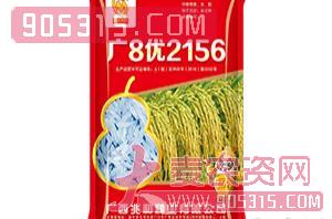 广8优2156-水稻种子-兆和种业